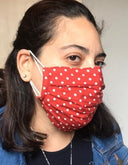 Retro Mask - Masks are composed of 3 layers including a filter and a nose support