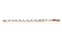 Seashells Choker